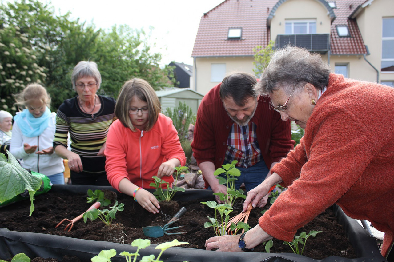 Gemeinsame Hochbeetaktion