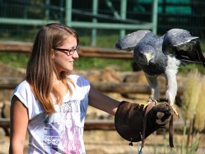 ZOO-Besuch 2014