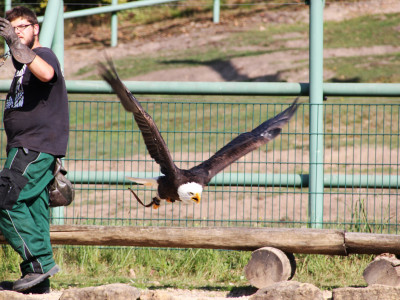 ZOO-Besuch 2014