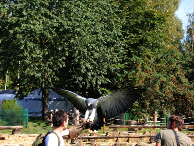 ZOO-Besuch 2014