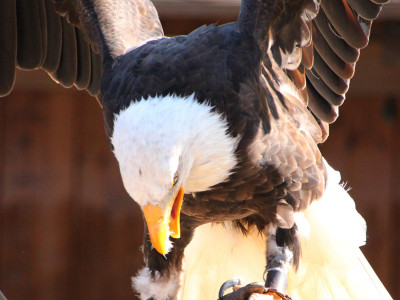 ZOO-Besuch 2014