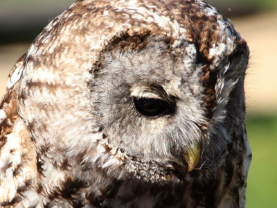 ZOO-Besuch 2014