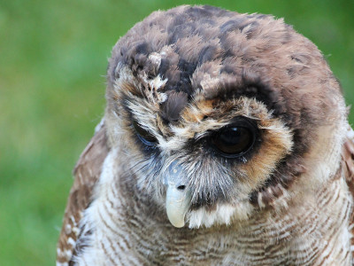 ZOO-Besuch 2014