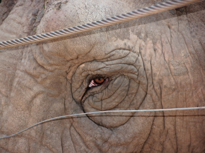 ZOO-Besuch 2014