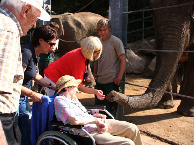 ZOO-Besuch 2014