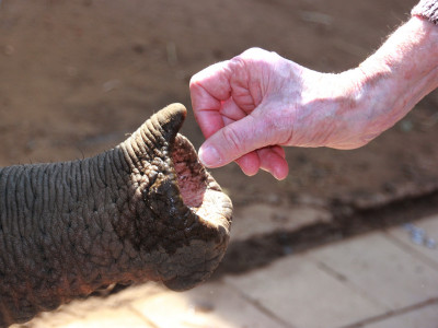 ZOO-Besuch 2014