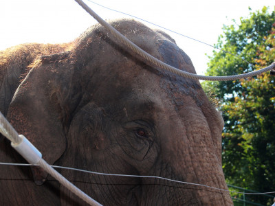 ZOO-Besuch 2014