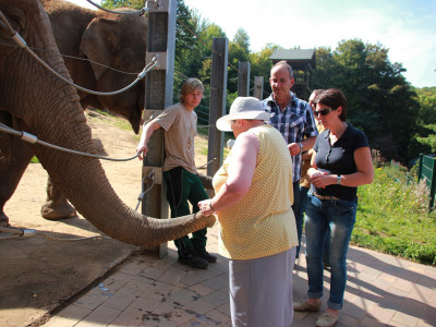 ZOO-Besuch 2014