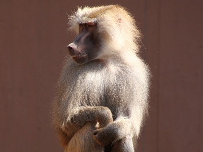 ZOO-Besuch 2014