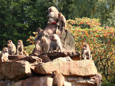 ZOO-Besuch 2014