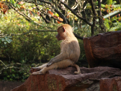 ZOO-Besuch 2014