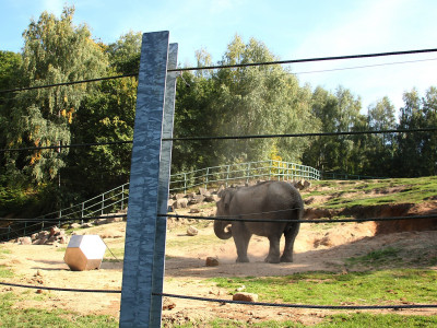 ZOO-Besuch 2014