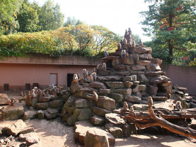 ZOO-Besuch 2014